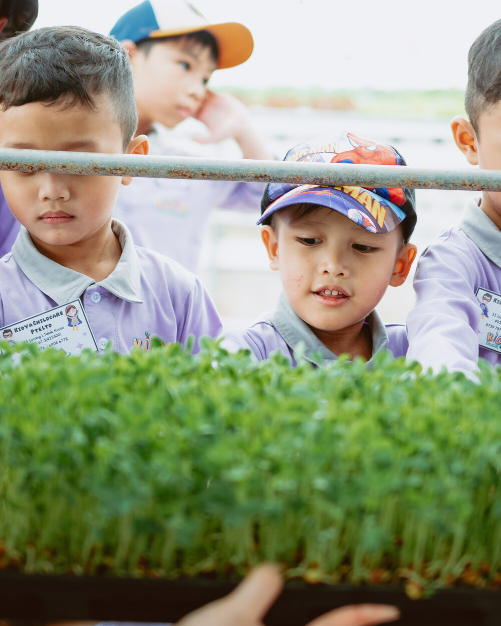 Inquisitive Learning at Kidya Childcare